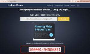 Lấy ID Facebook từ hệ thống cung cấp.