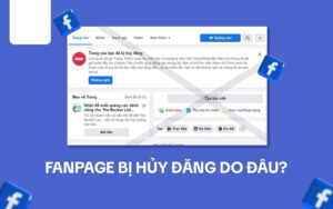 Nguyên nhân khiến Fanpage Facebook bị đình chỉ.